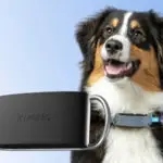 The Invoxia Smart Dog Collar is a revolutionary biometric gadget for dogs, redefining how you monitor and improve your furry friend's health and happiness.