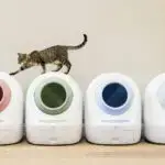 Leo’s Loo Too with UV sterilization and smart app control for hygienic cat care.