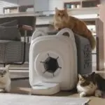 PawSwing Purrring - Automatic Cat Self-Groomer