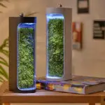 Moss Air Terrarium Purifier for advanced air purification